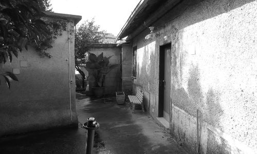 DSC09945